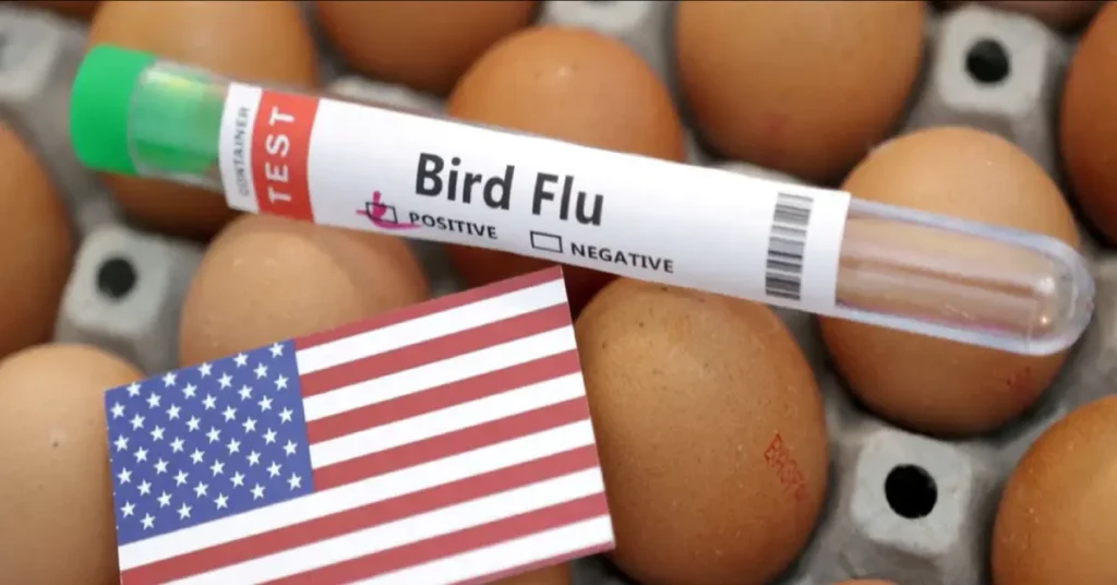 California State of Emergency Bird Flu