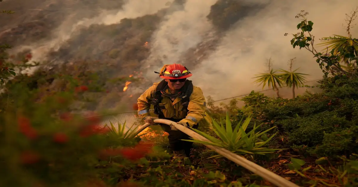 Los Angeles Wildfires